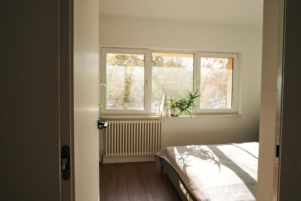 Ultracentral Two Rooms Apartment In Бухарест Екстер'єр фото